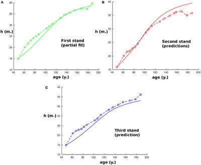Modeling Tree Growth Taking into Account Carbon Source and Sink Limitations